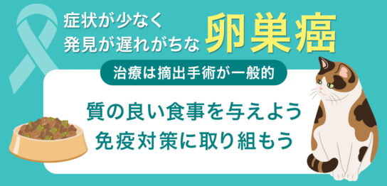 症状が少なく発見が遅れがちな卵巣癌