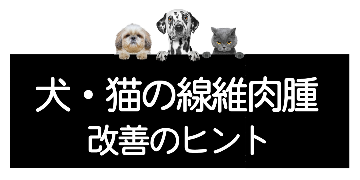 고양이·개의 섬유육종 ― 악성종양, 검사, 수술, 치료법, 개선·완치의 힌트イメージ