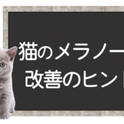 猫のメラノーマ克服方法