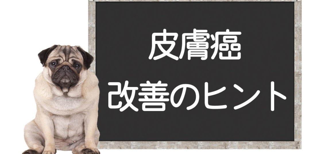 犬の皮膚癌の改善方法