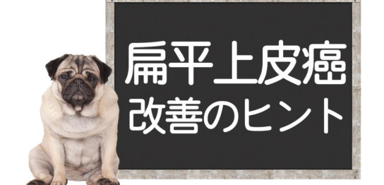 犬の扁平上皮癌の改善方法