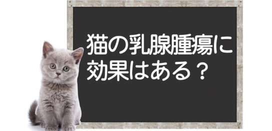 猫の乳腺腫瘍