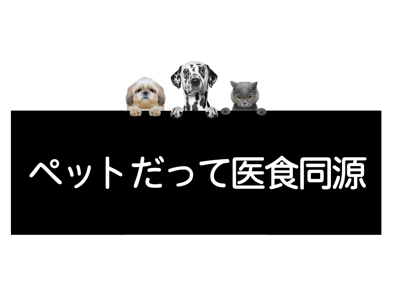 암을 이기기 위한 새로운 식사 아이디어 (강아지와 고양이 편)イメージ